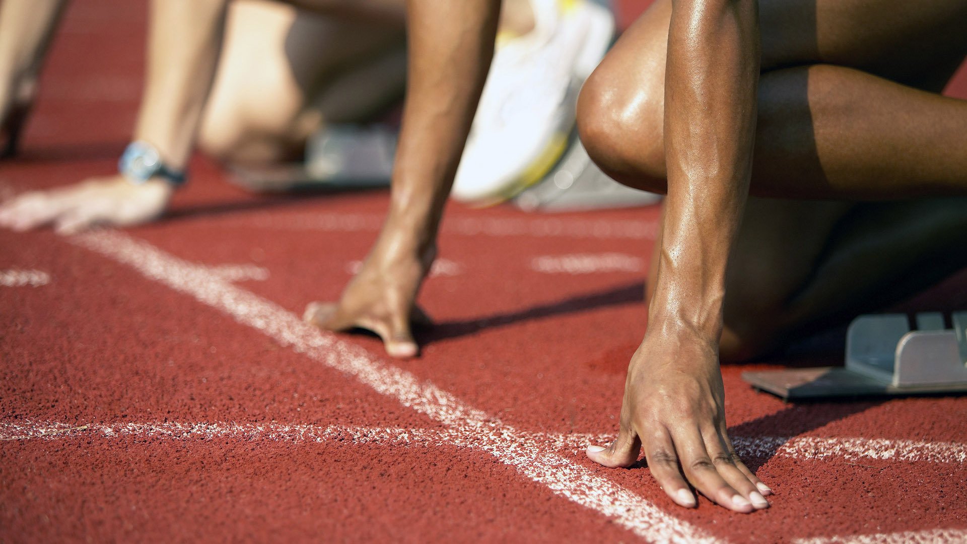 校园体育文化建设与社会支持机制研究,校园体育文化建设方案